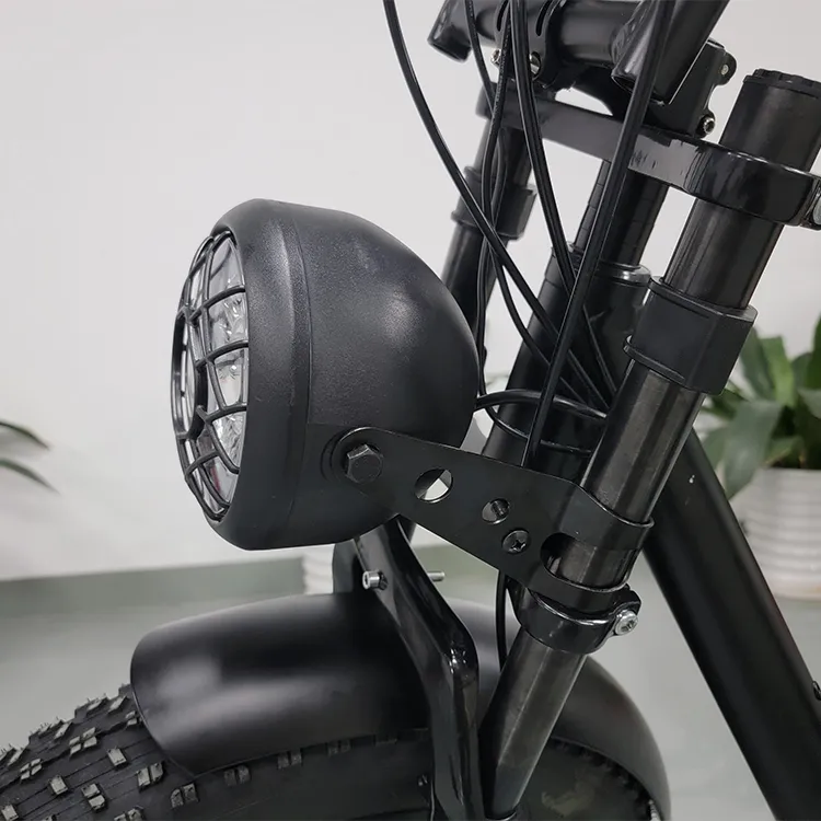 Fat Type City Bike Scooter Ecorider E6-1 Electric Bicycle