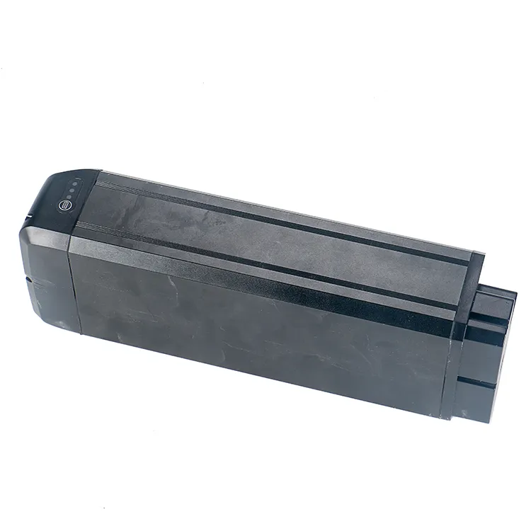 Fat Type City Bike Scooter Ecorider E6-1 Electric Bicycle