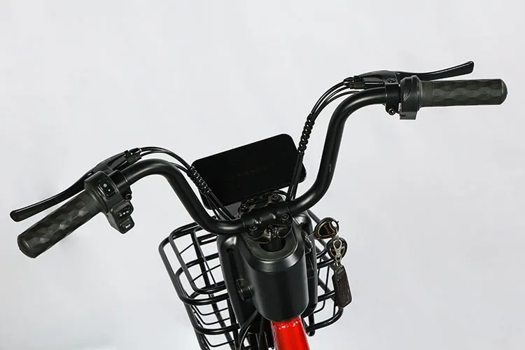 Fs07 Hot Sale Simple Design Electric Motorcycle Ebike Electric Bicycle