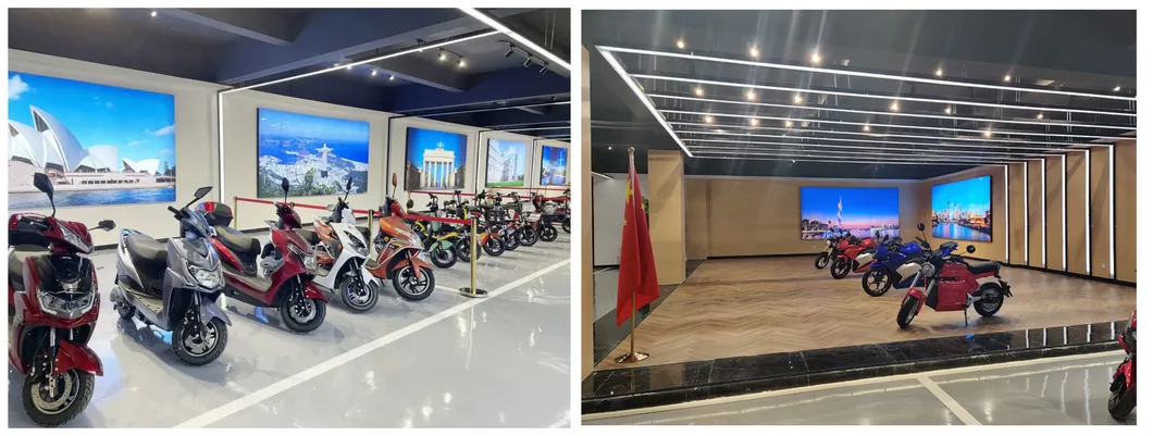 Fs07 Hot Sale Simple Design Electric Motorcycle Ebike Electric Bicycle