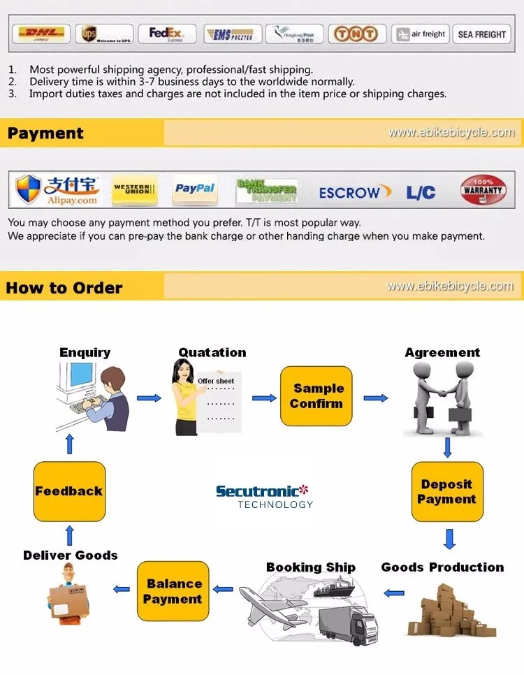 Ghost Bolsa PARA Old School Hydraulic Elektro Bike Cargo Electric Motorcycle 1000 Watt Bafang Motor