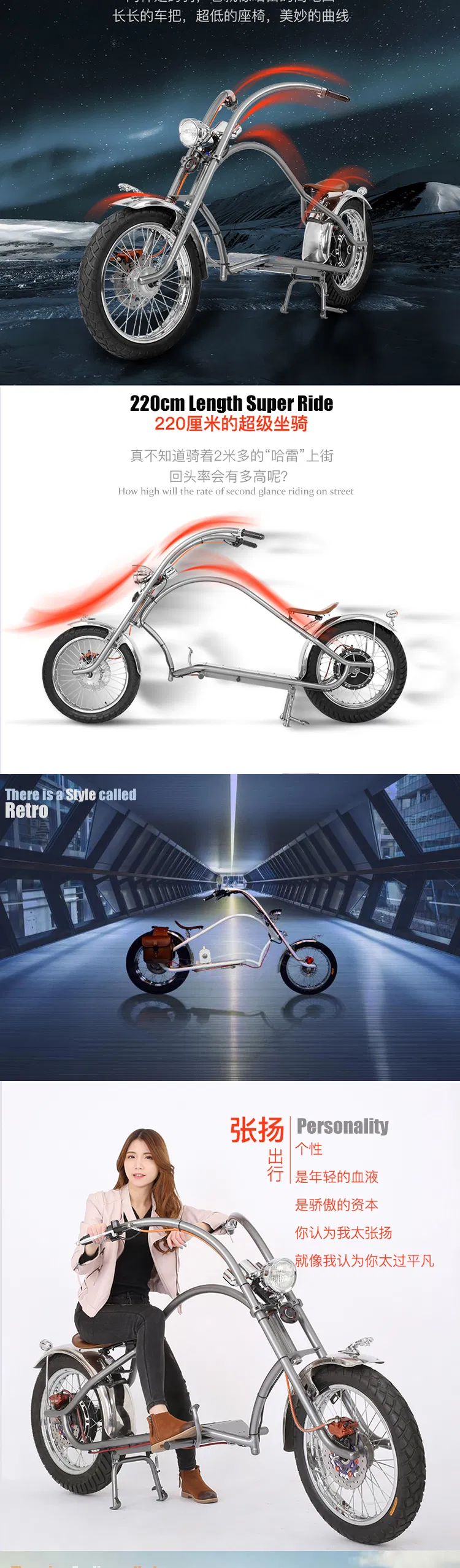 Ghost Bolsa PARA Old School Hydraulic Elektro Bike Cargo Electric Motorcycle 1000 Watt Bafang Motor