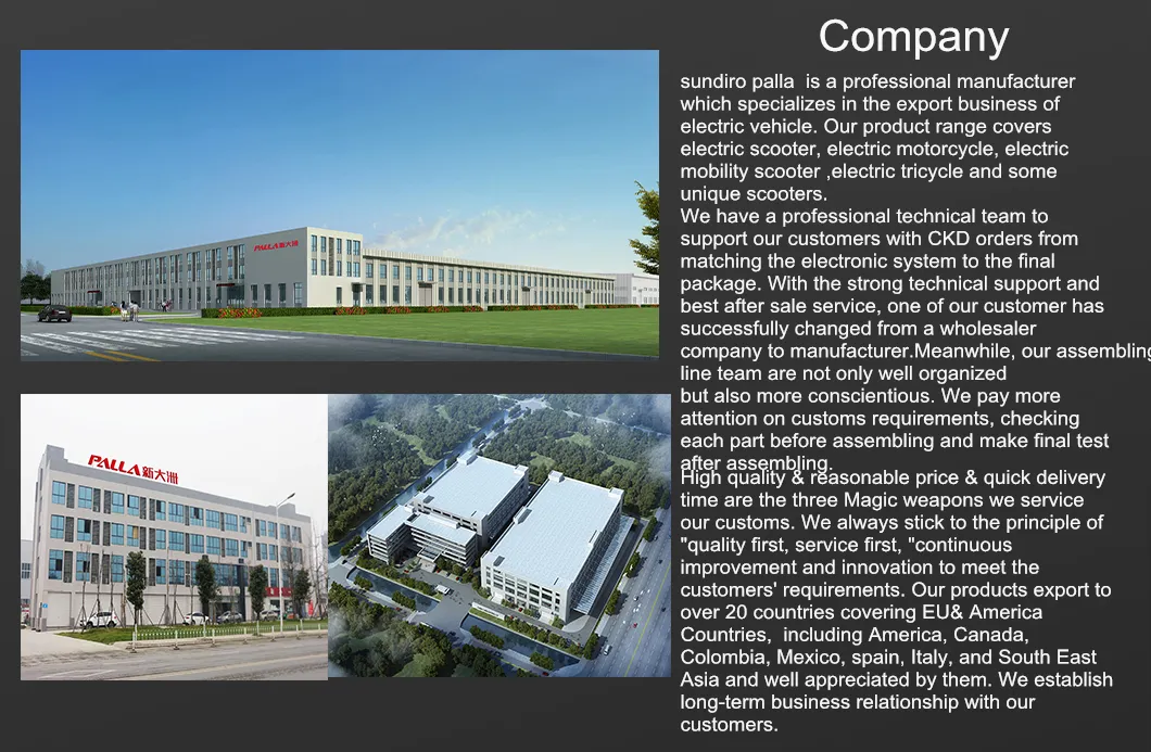 Good Quality Factory Directly 2000W Vespa Electric Motorcycle with Removeable Battery