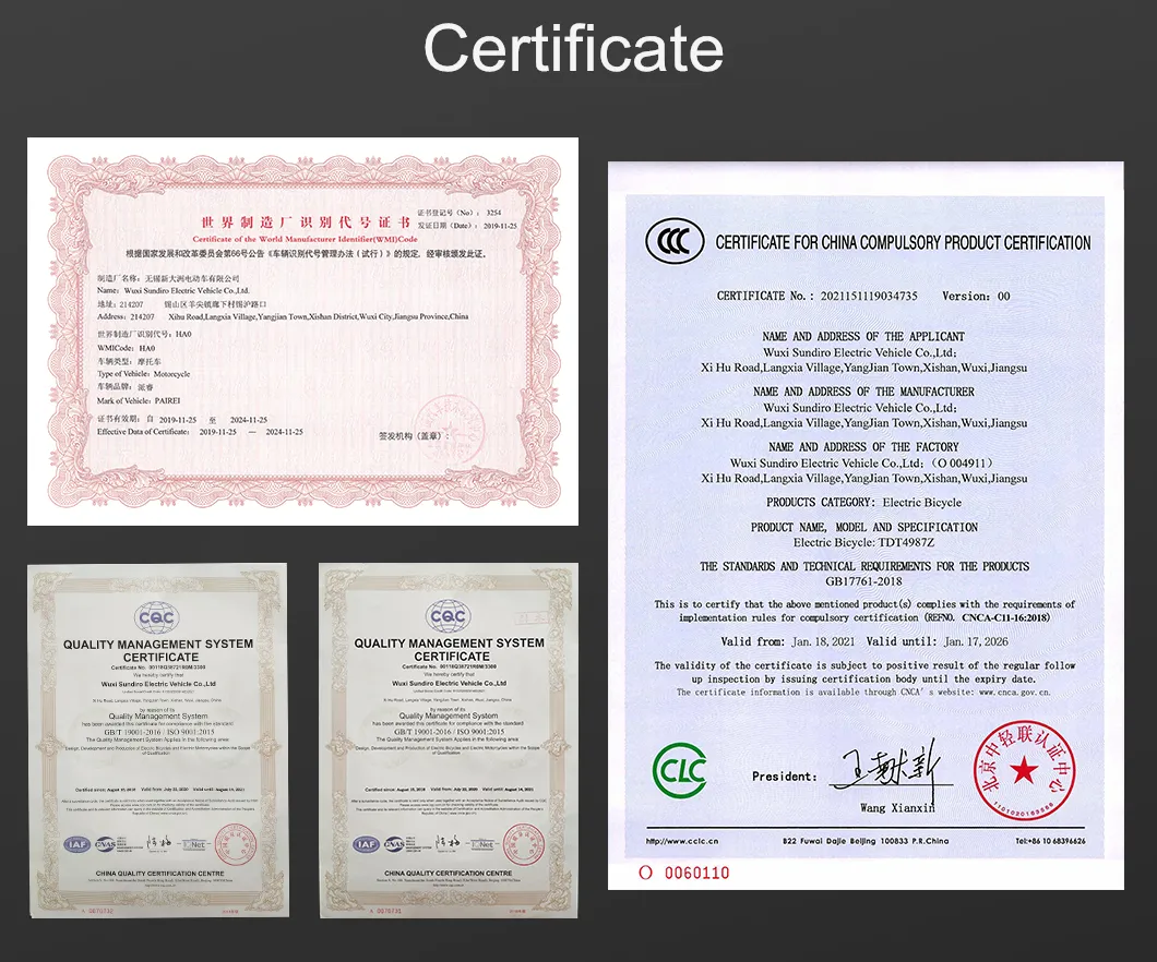 Good Quality Factory Directly 2000W Vespa Electric Motorcycle with Removeable Battery