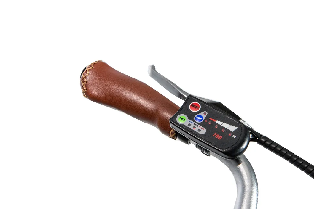 Greenpedel 2021 Hot Sale Green City Electric Bicycle Chinese Cheap Ebike Electric City Bike