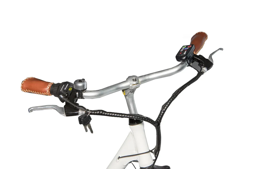 Greenpedel 2021 Hot Sale Green City Electric Bicycle Chinese Cheap Ebike Electric City Bike