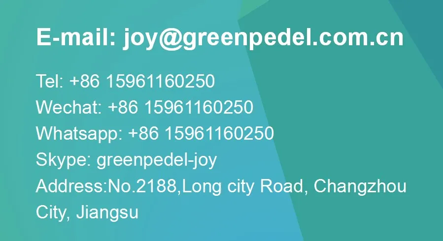 Greenpedel 250W Brushless Hub Motor Conversion Ebike Kit with Tube Lithium Battery and Torque Sensor