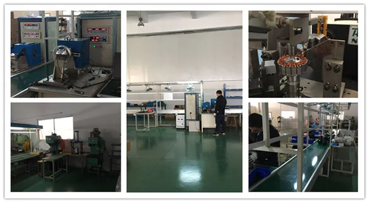 Greenpedel 36V 250W 350W 25kph E Bike Kit with Battery