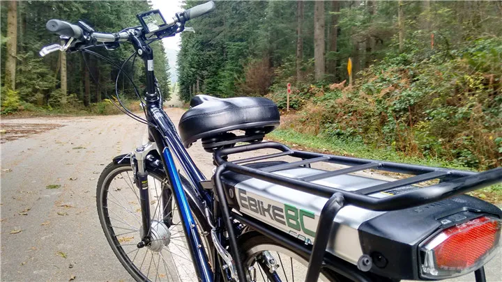 Greenpedel 36V 250W 350W 25kph E Bike Kit with Battery