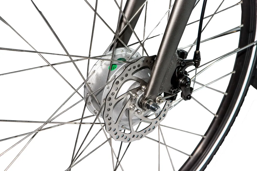 Greenpedel Cheap Pedal Assistant Electric City Bike 36V 250W with Lithium Battery