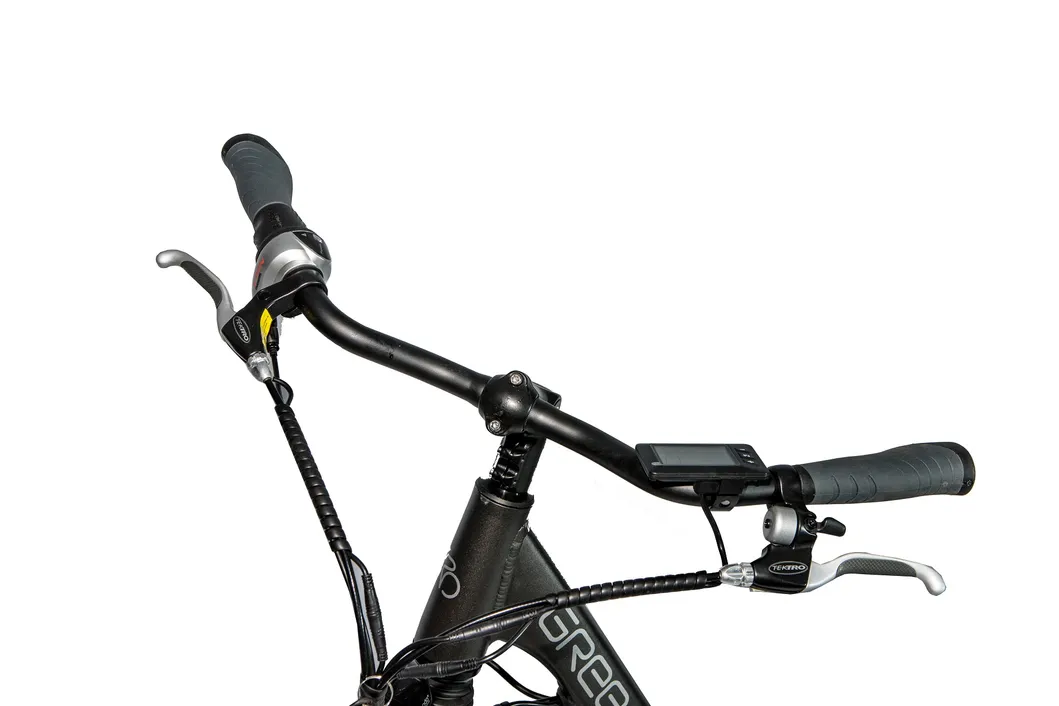 Greenpedel Cheap Pedal Assistant Electric City Bike 36V 250W with Lithium Battery