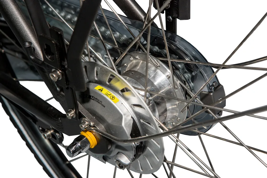 Greenpedel Cheap Pedal Assistant Electric City Bike 36V 250W with Lithium Battery