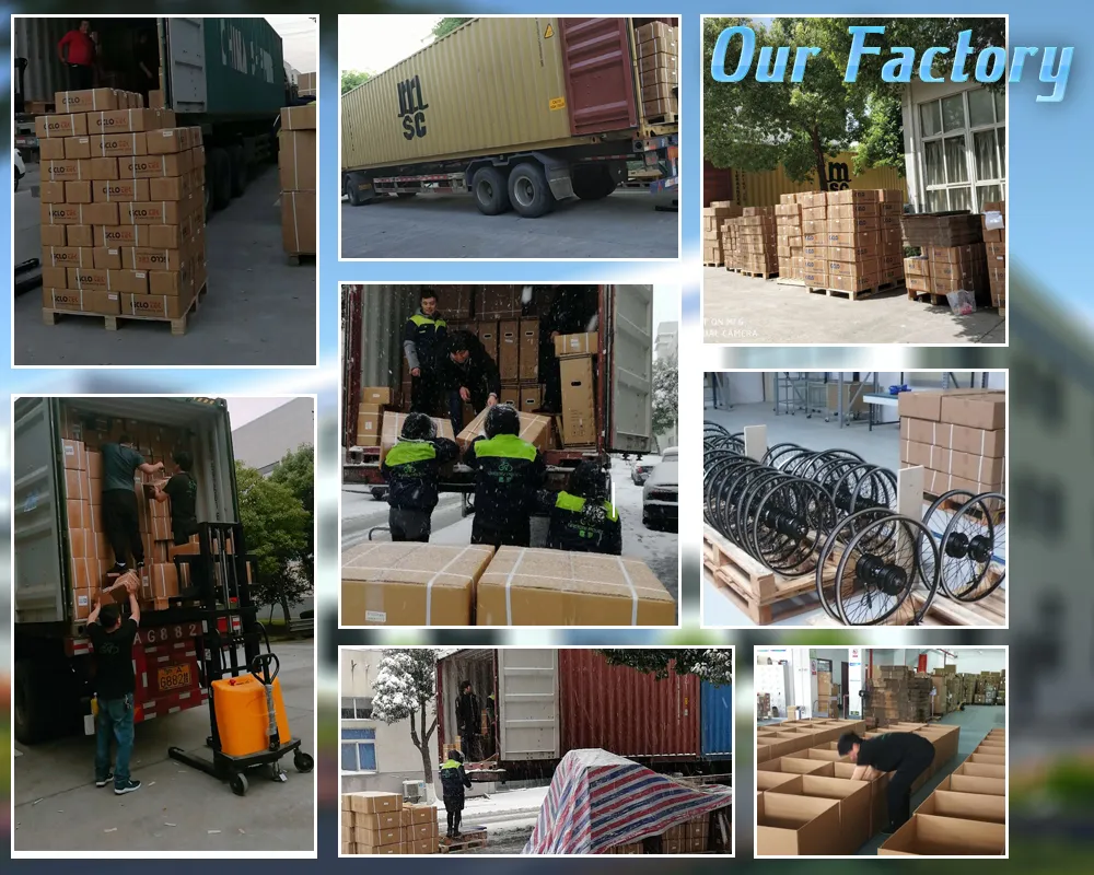 Greenpedel New Electric Bike Urban Ebike Electrical Bicycles High Range 36V 250W Bicycle