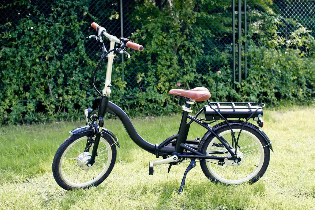 Greenpedel New Electric Bike Urban Ebike Electrical Bicycles High Range 36V 250W Bicycle