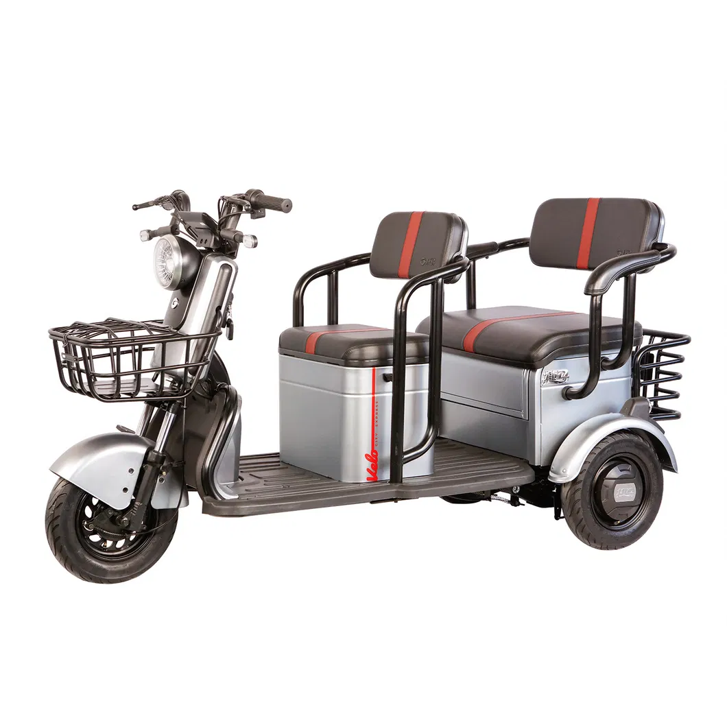 H6 China Electric Scooter 48V650W Disabled Electric Moped, Electric Tricycle
