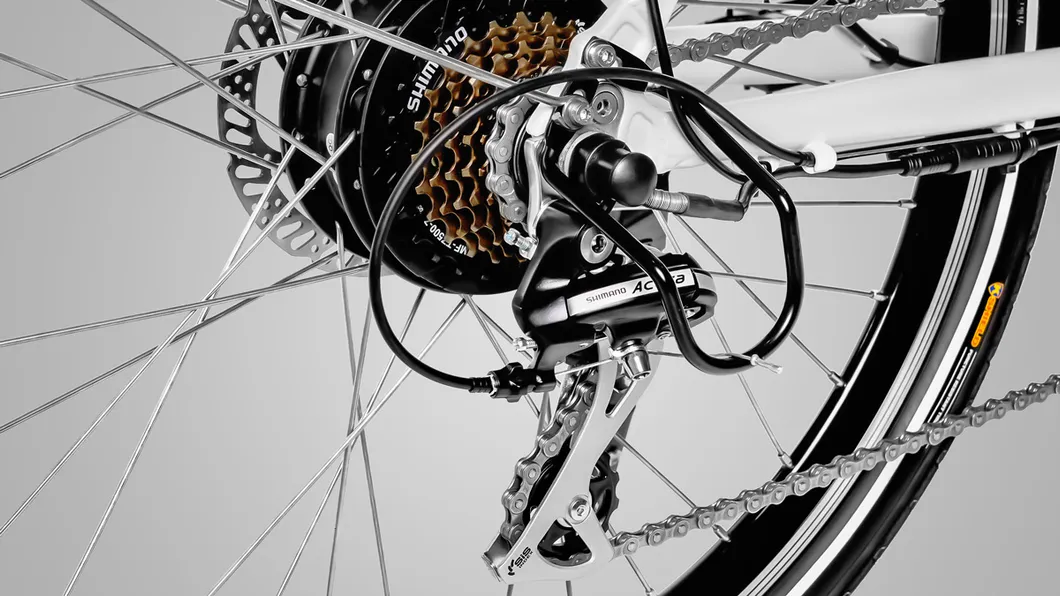 Haidong City Ebike with High Power and Long Range 120 Miles, 25 Miles/H