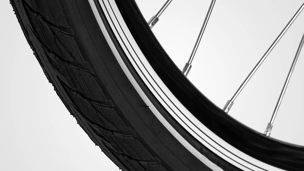 Haidong City Ebike with High Power and Long Range 120 Miles, 25 Miles/H