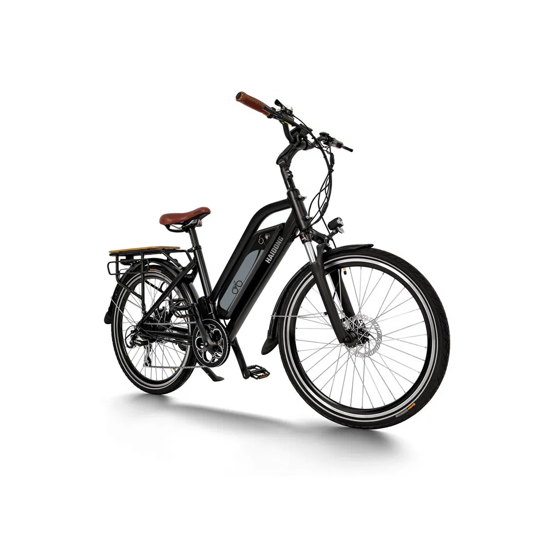 Haidong City Ebike with High Power and Long Range 120 Miles, 25 Miles/H