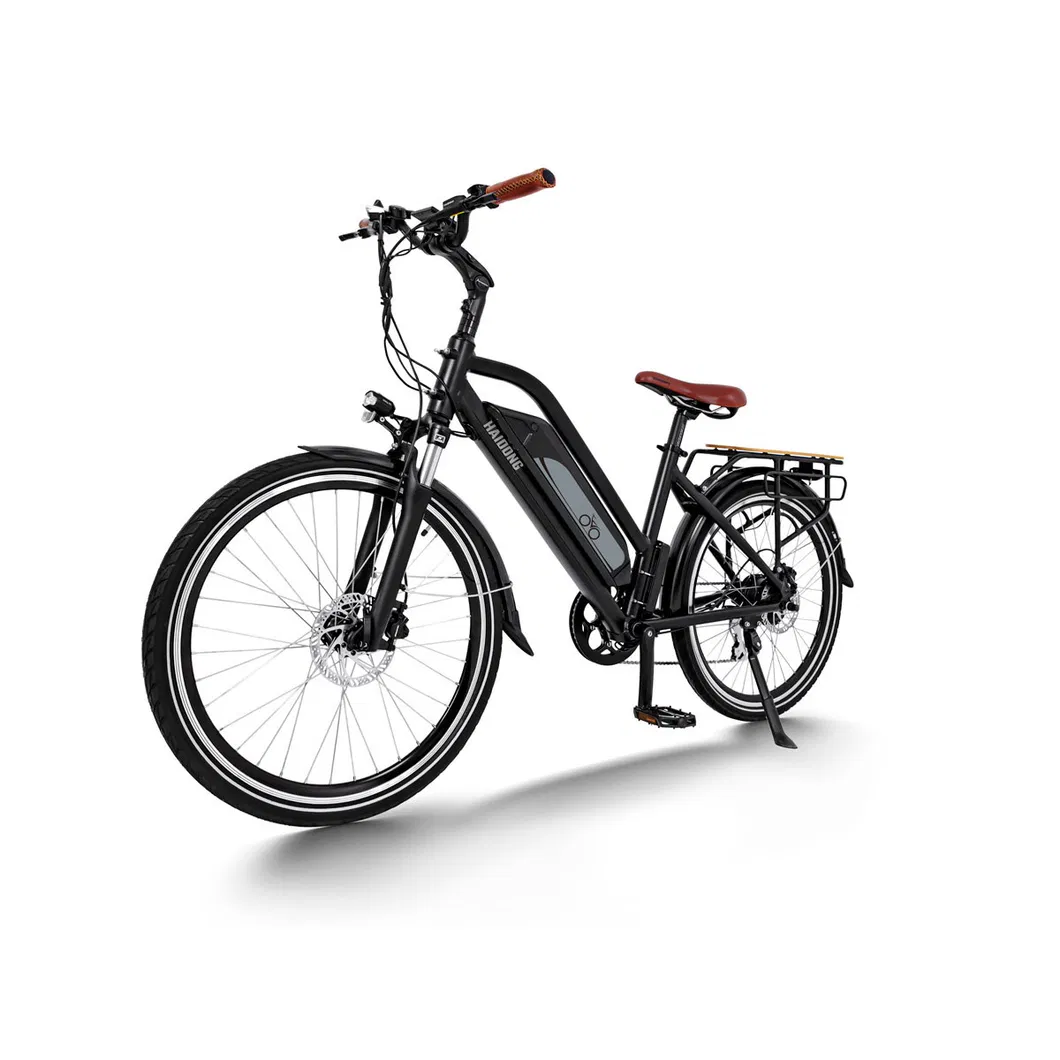 Haidong City Ebike with High Power and Long Range 120 Miles, 25 Miles/H