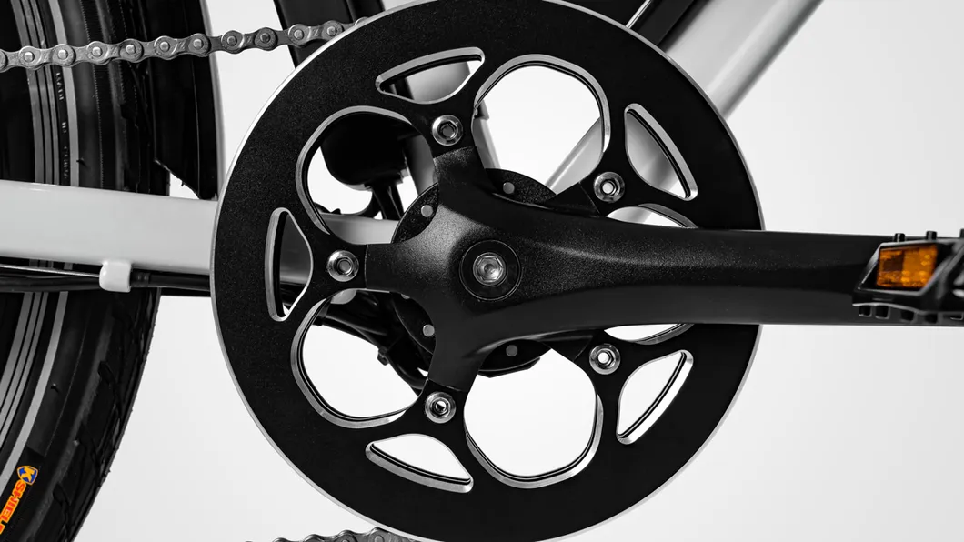 Haidong City Ebike with High Power and Long Range 120 Miles, 25 Miles/H