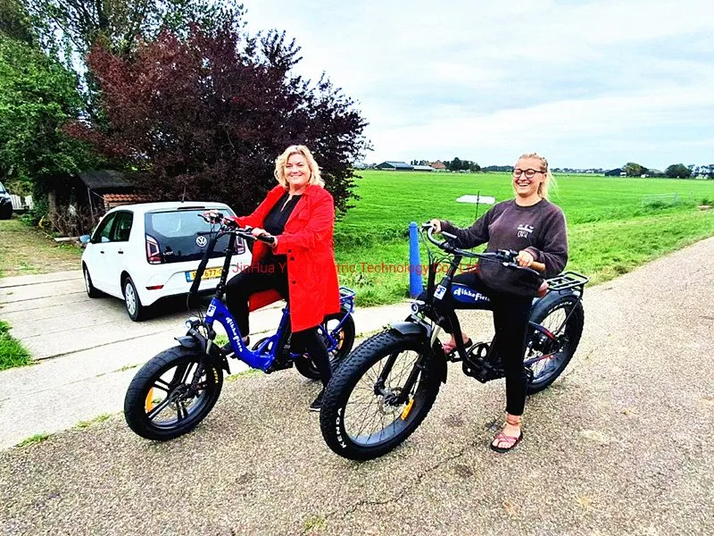 Harley with Lithium Battery Electric Bike Electric Harley Bicycle Ebike