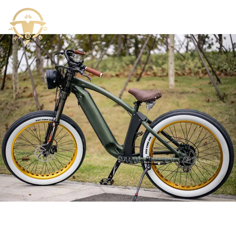 Hi-Lay II 1000W 48V 21ah Bench E-Bike Fat Tire Mountain Battery Bike for Adults