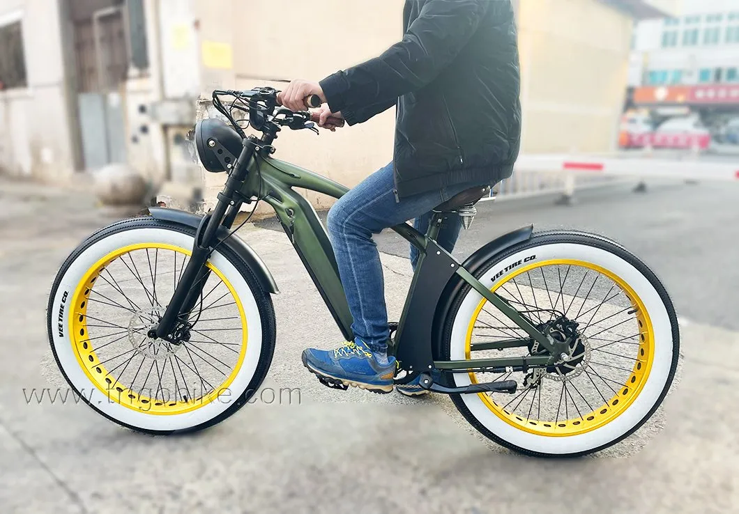 Hi-Lay II 1000W 48V 21ah Bench E-Bike Fat Tire Mountain Battery Bike for Adults