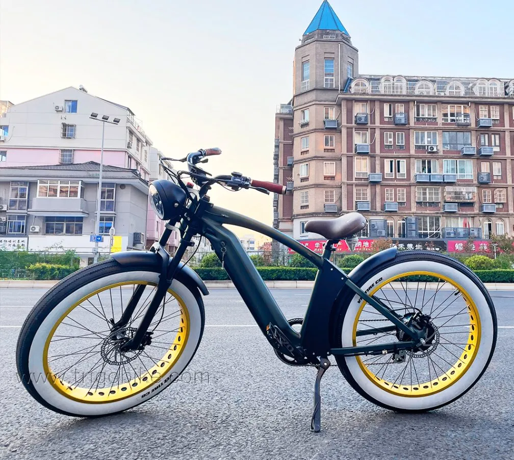 Hi-Lay II 1000W 48V 21ah Bench E-Bike Fat Tire Mountain Battery Bike for Adults