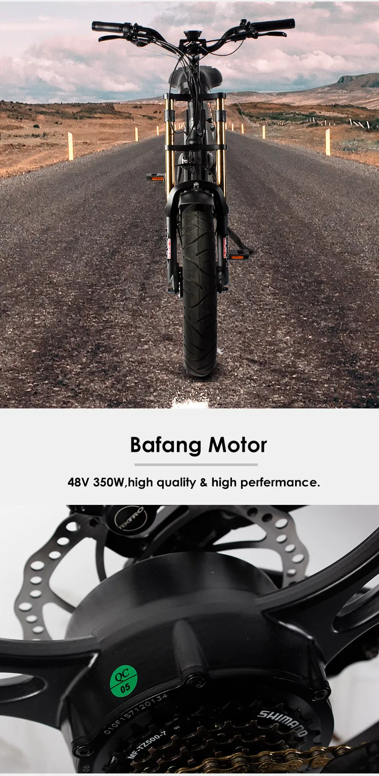 High-End Aluminum Alloy Cool Electric Bike 48V 750W 20ah Full Suspension Adults 20inch Folding Fat Electric Bike