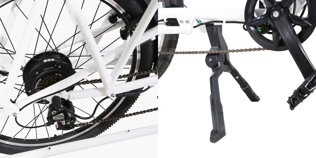 High Quality Longtail Cargo Electric Bike European Style