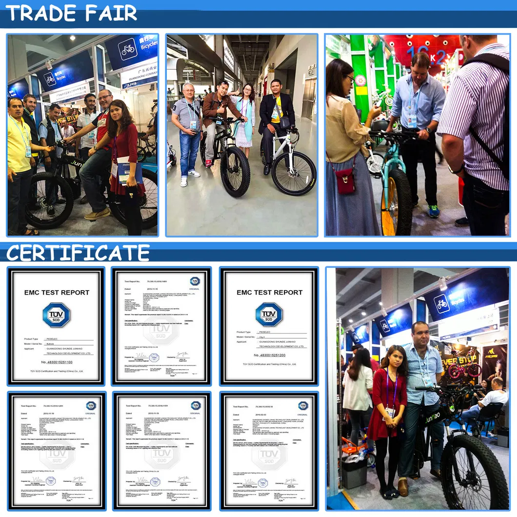 High Quality Longtail Cargo Electric Bike European Style