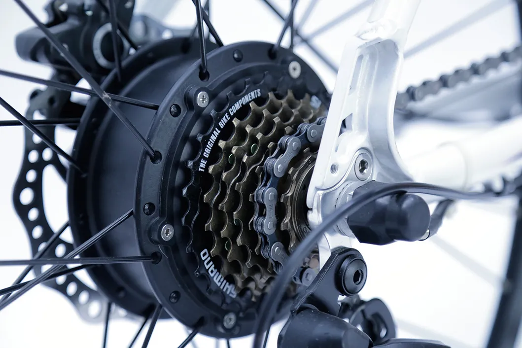 High Quality Waterproof 36V 250W Electric Bike Kit with Brushless Geared Motor