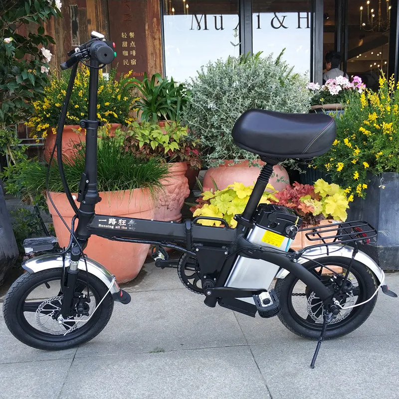 Hl008 Black 100kms E Cyle Electric Bike/ 48V 21ah E Bike with 350W Motor