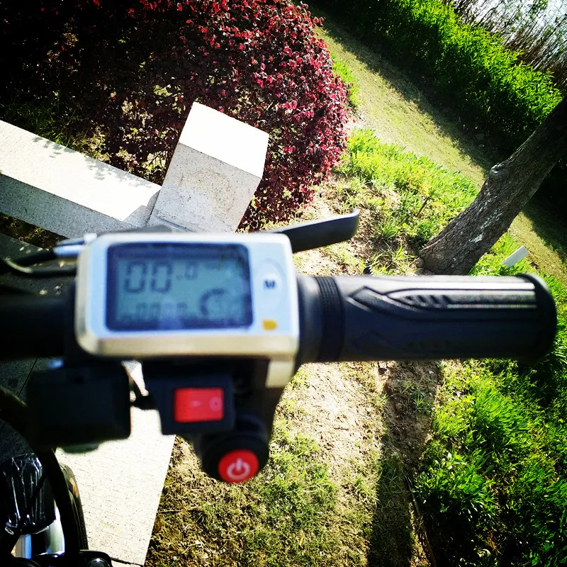 Hl008 Black 100kms E Cyle Electric Bike/ 48V 21ah E Bike with 350W Motor