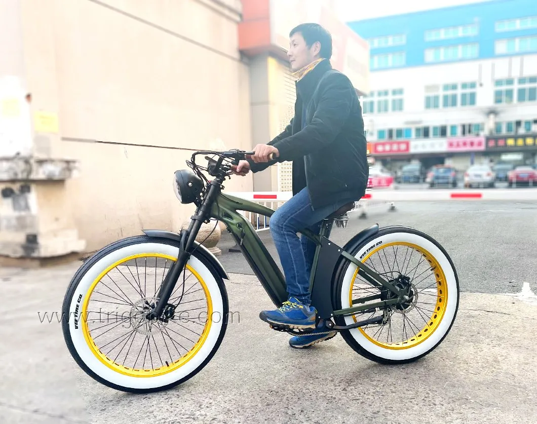 Hot Model Fork Suspension 26inch 21ah Electric Bicycle Mountain E-Bike