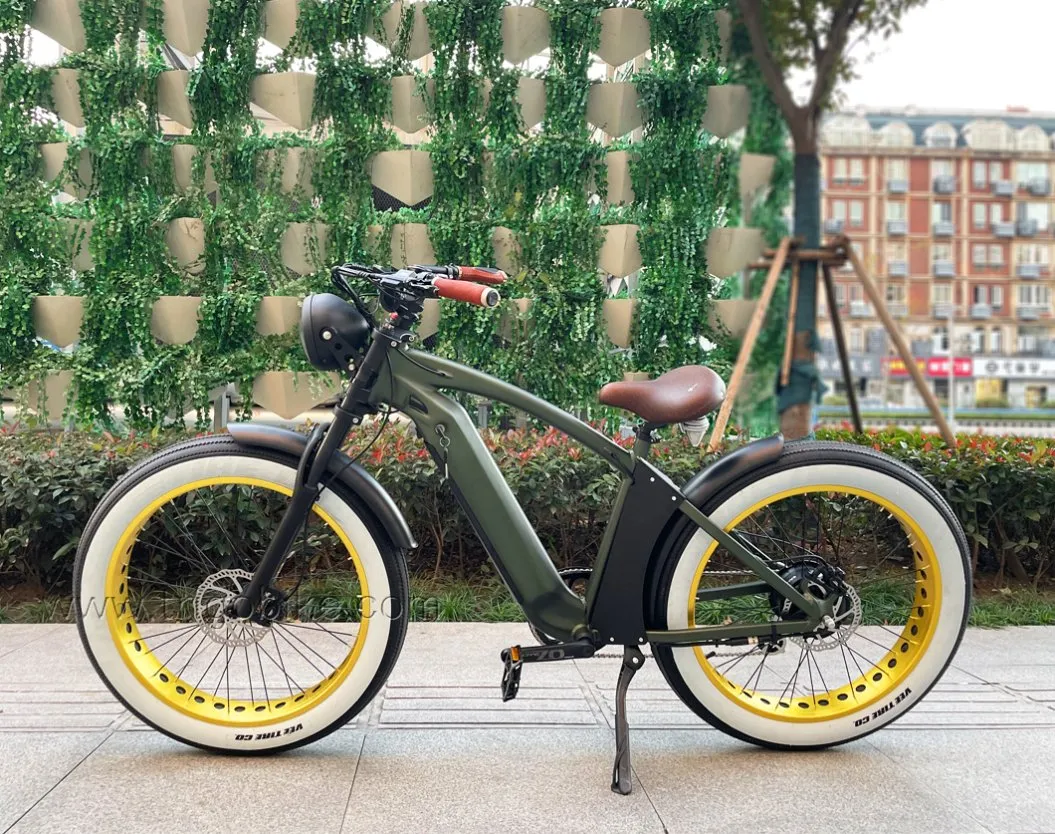 Hot Model Fork Suspension 26inch 21ah Electric Bicycle Mountain E-Bike