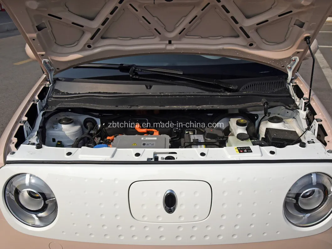 Hot Sale Changan Ora R1 EV Sedan 301km Nedc Long Range Electric Car Mini SUV with DC Fast Charge