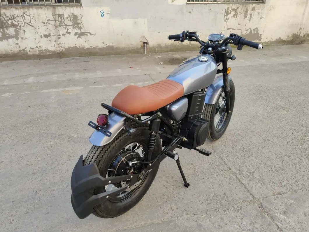 Hot Sale E Bike 4000W Niu Design with Brushless Motor