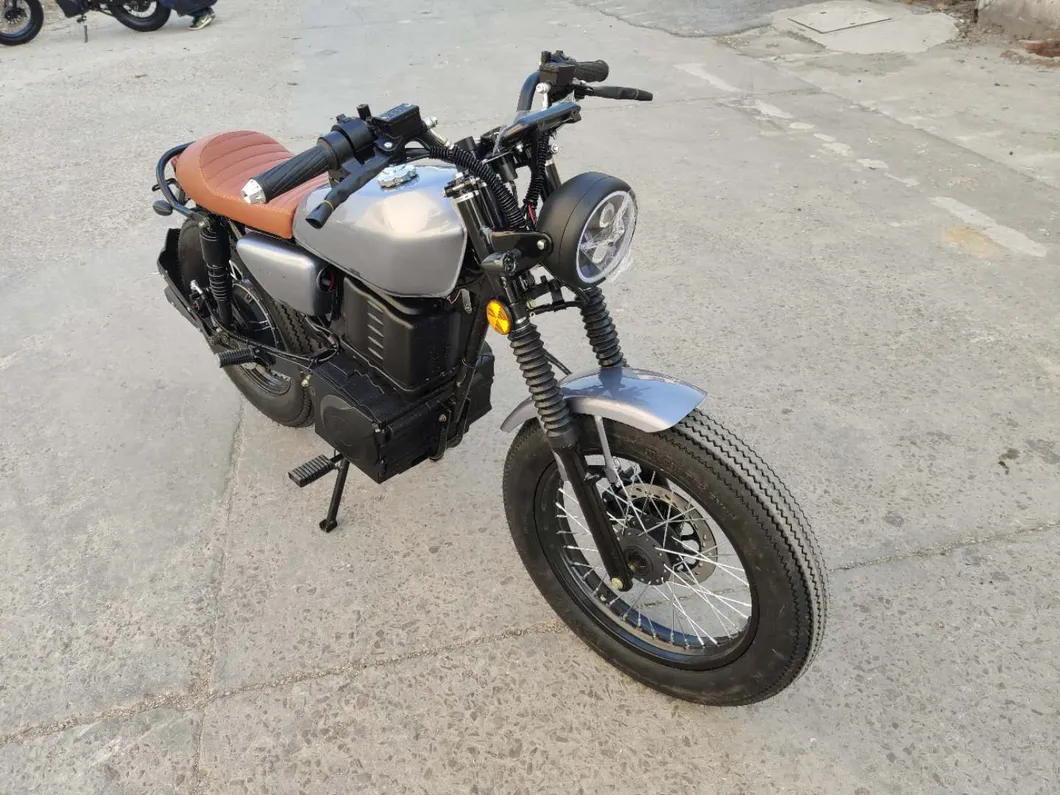 Hot Sale E Bike 4000W Niu Design with Brushless Motor