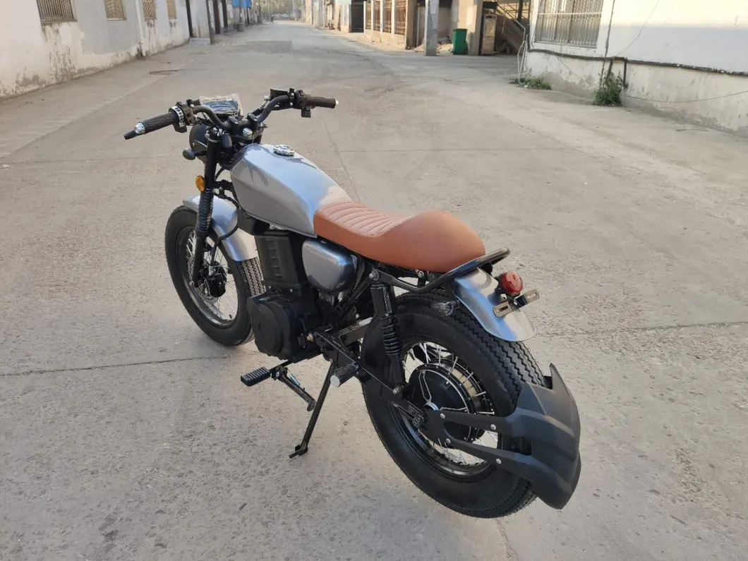 Hot Sale E Bike 4000W Niu Design with Brushless Motor