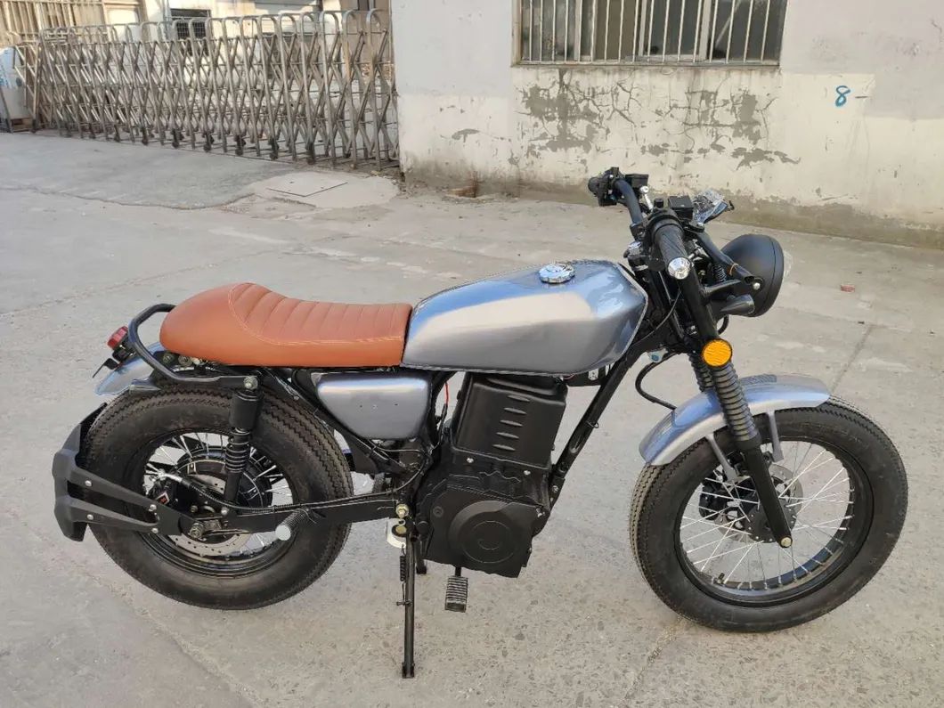 Hot Sale E Bike 4000W Niu Design with Brushless Motor