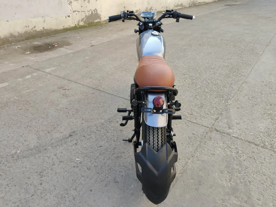 Hot Sale E Bike 4000W Niu Design with Brushless Motor