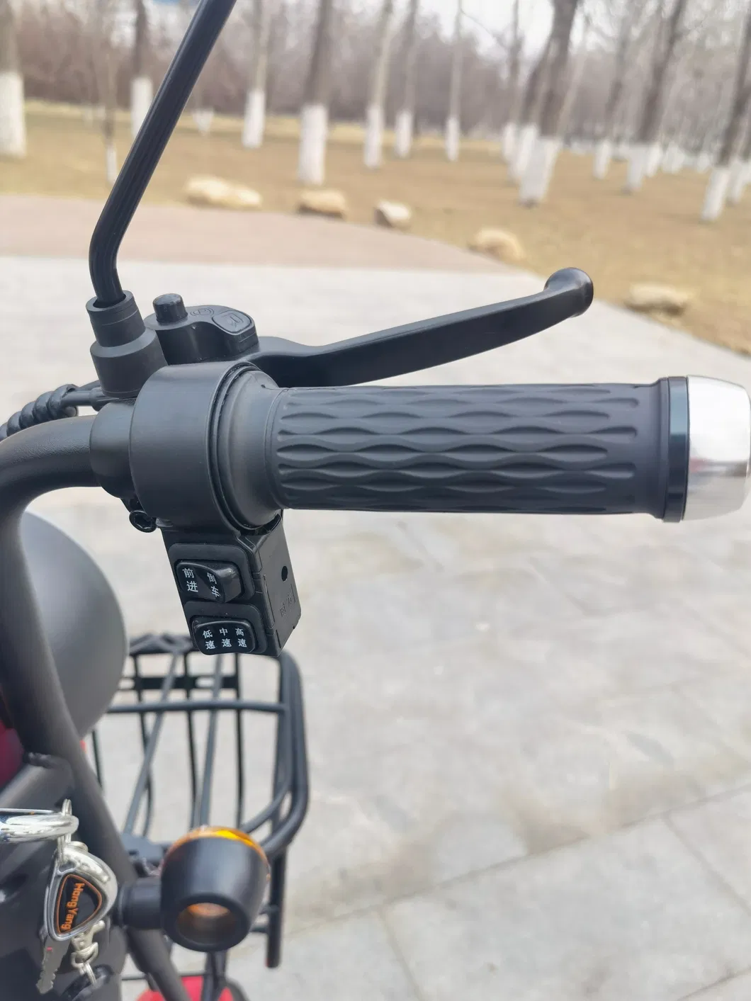 Hot Sale Powerful Cheap with 1-3 Seats for Adult Passagers with Adjustable Seat Electric Tricycles