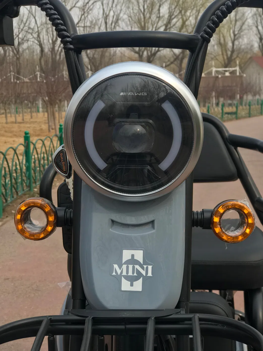 Hot Sale Powerful Cheap with 1-3 Seats for Adult Passagers with Adjustable Seat Electric Tricycles