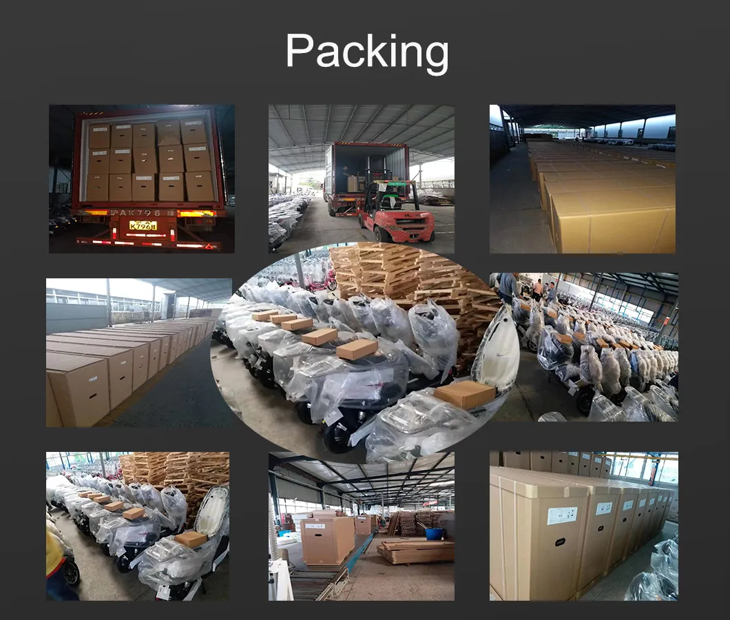 Hot Sale The Most Fashionable 2 Wheel Electric Scooter Adult Electric Motorcycle