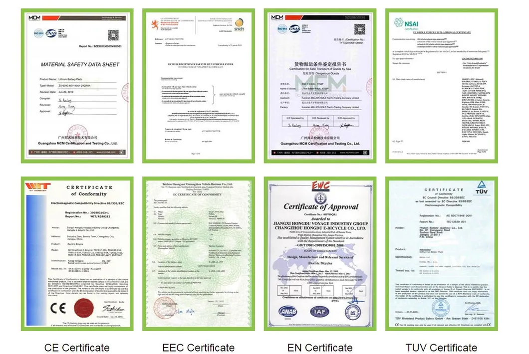 Hot Selling EEC Zg3 Electric Scooter Max 45km/H E-Moped