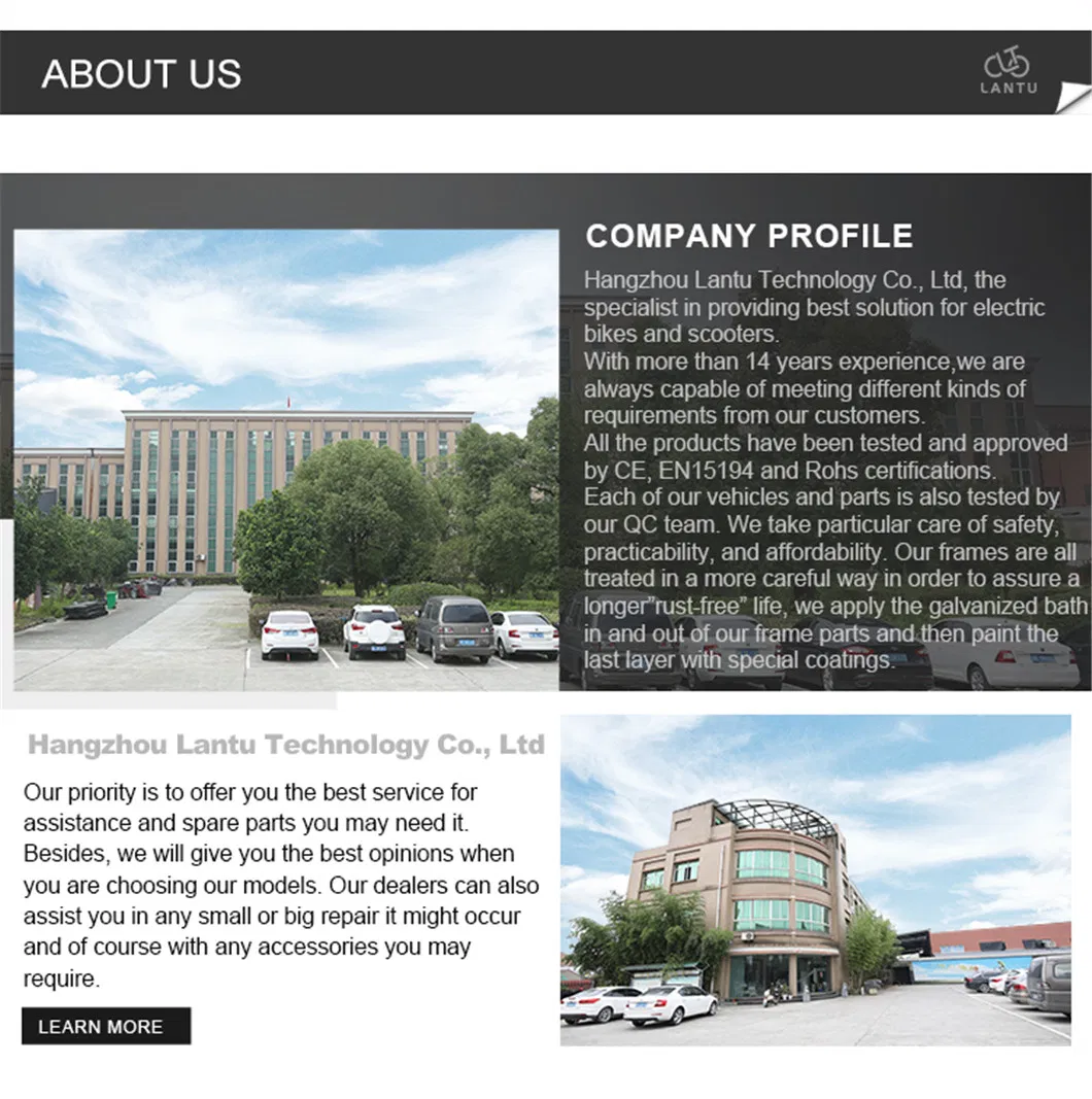 Hot Selling Electric Moped Electric Scooter with Pedal Assisted