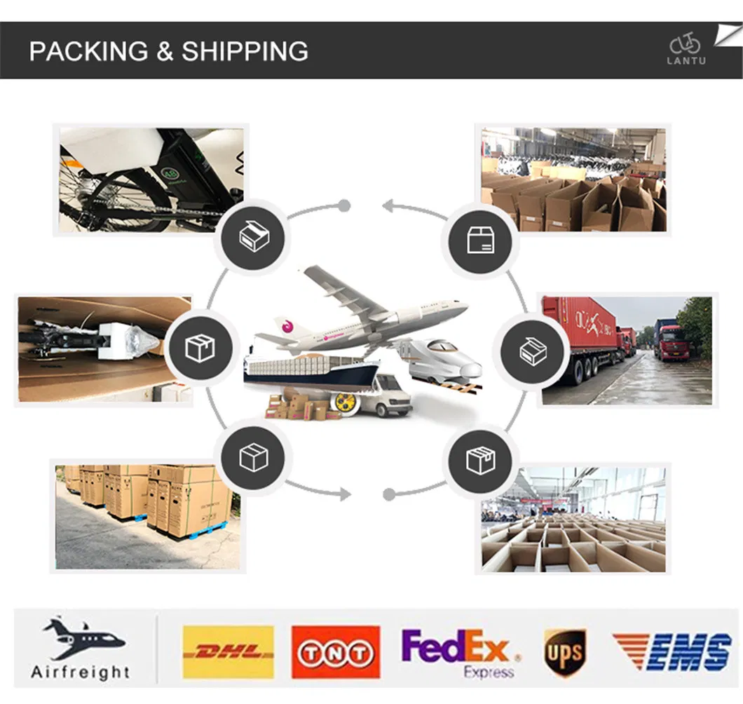 Hot Selling Electric Moped Electric Scooter with Pedal Assisted