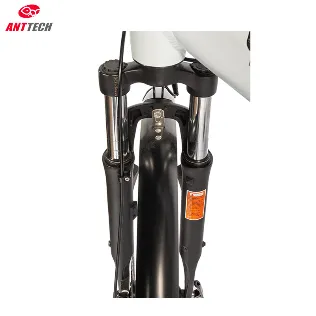 Ibis 36V 250W Electric Bicycle Rear Motor City Ebike for Lady