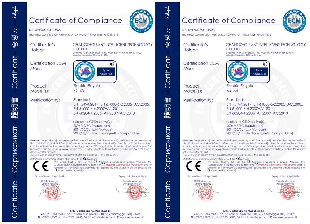 Ibis 36V 250W Electric Bicycle Rear Motor City Ebike for Lady